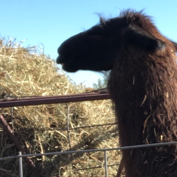 Meet your Posher, Aaron - Picture 1 of 1